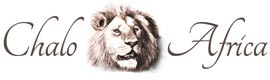 Chalo Africa logo