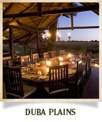 duba-plains