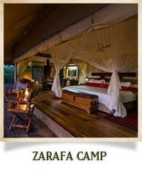 zarafa-camp