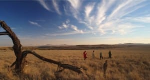 lewa-safari-camp