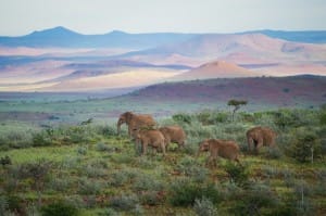 damaraland