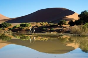 kulala desert lodge