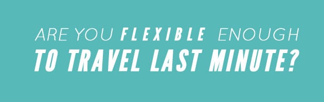 Flexi Offers Safari