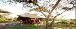 Ubuntu Camp, Serengeti