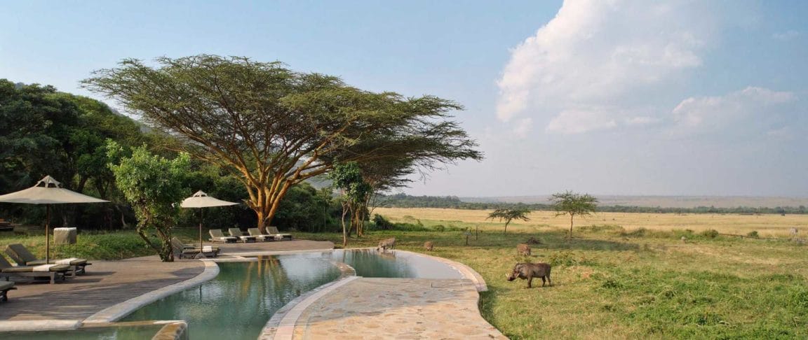 Kichwa Tembo, Masai Mara.