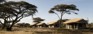 Mara Under Canvas, Serengeti.