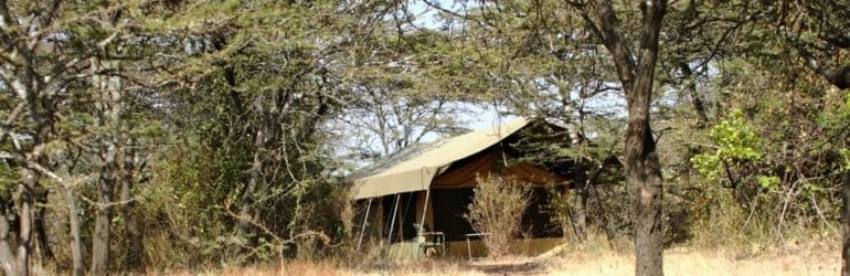 Porini Bush Camp, Masai Mara.