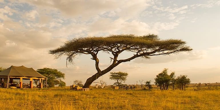 Namiri Plains Tent