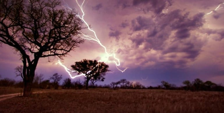 Londolozi Safari