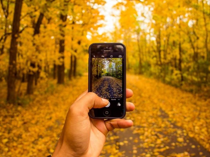 mobile phone on safari