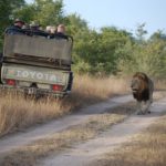 Senior citizens on safari in Africa