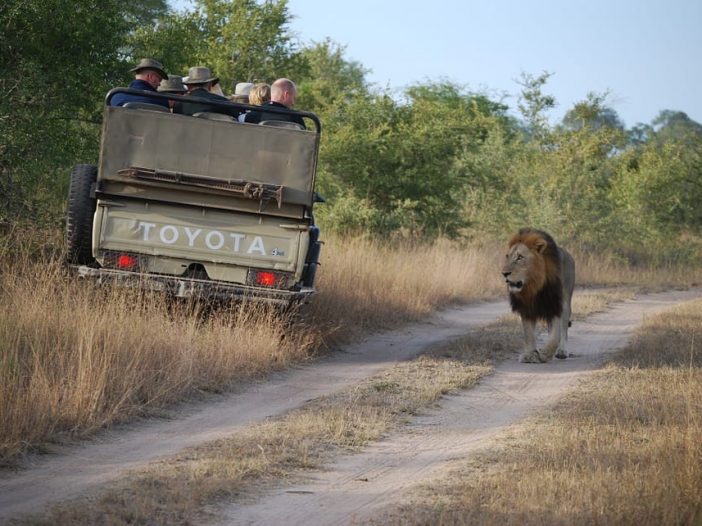 Senior citizens on safari in Africa