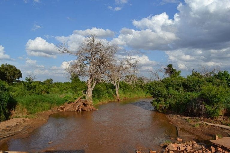 Voi River, Tsavo East NP