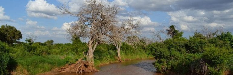 Voi River, Tsavo East NP