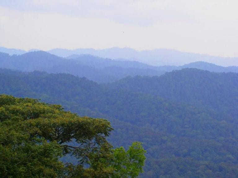 Bwindi Impenetrable National Park