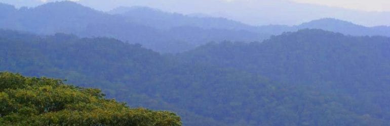 Bwindi Impenetrable National Park