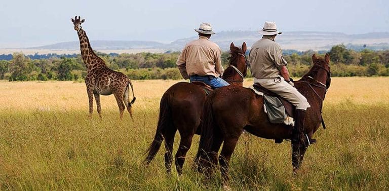 Laikipia horse riding safaris
