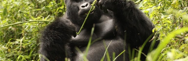 Teenagers in Bwindi