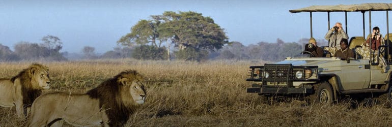 Private Guided Safaris Zarek Cockar