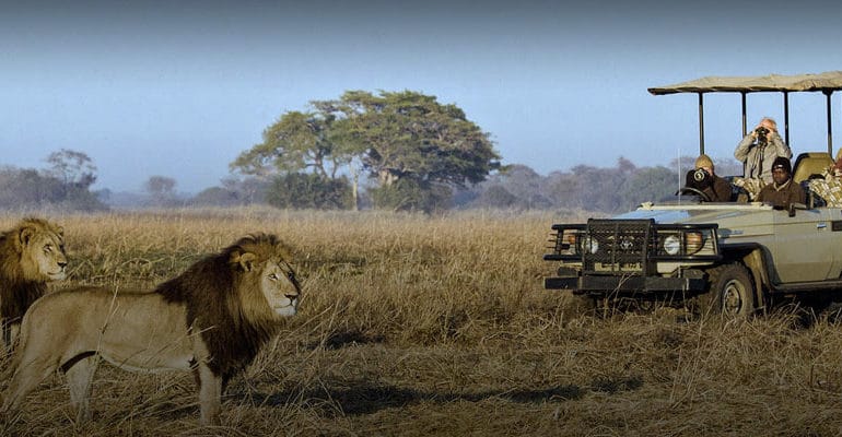Private Guided Safaris Zarek Cockar