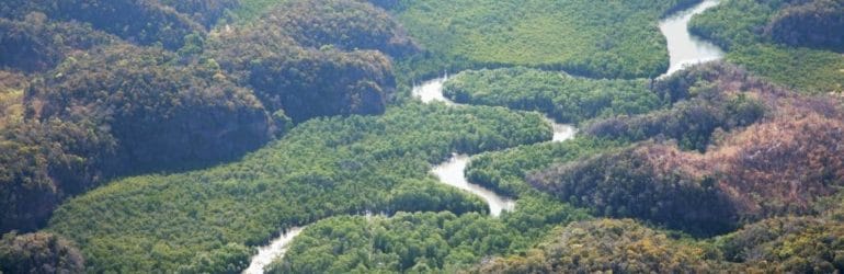 The mangroves over Anjajavy, Madagascar.
