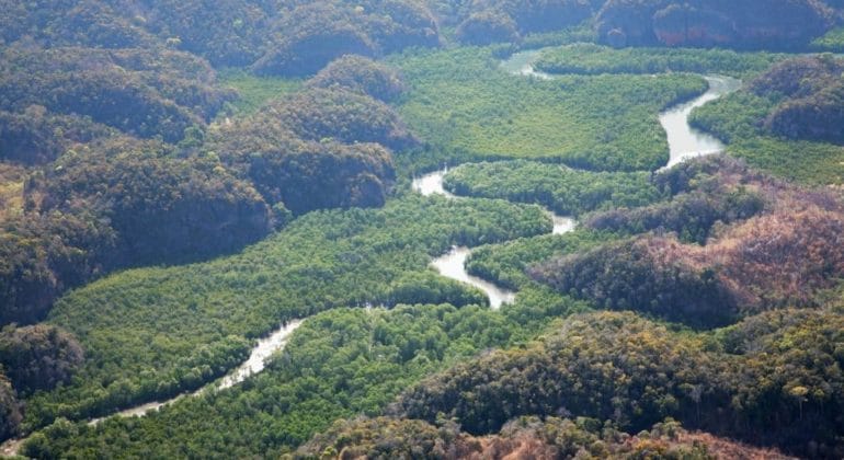 The mangroves over Anjajavy, Madagascar.
