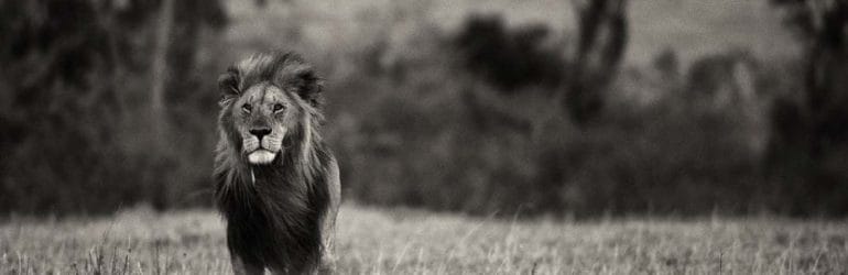 Serengeti with Kalyan Varma - Tanzania