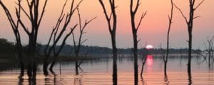 Rhino Safari Camp, Zimbabwe