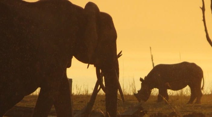 Rhino Safari Camp, Zimbabwe