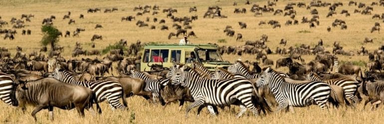 Serengeti Migration Tanzania