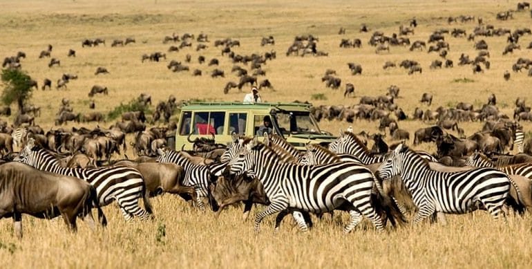 Serengeti Migration Tanzania