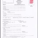 botswana visa application form