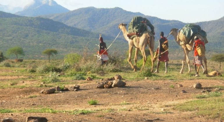 kenya walking safaris