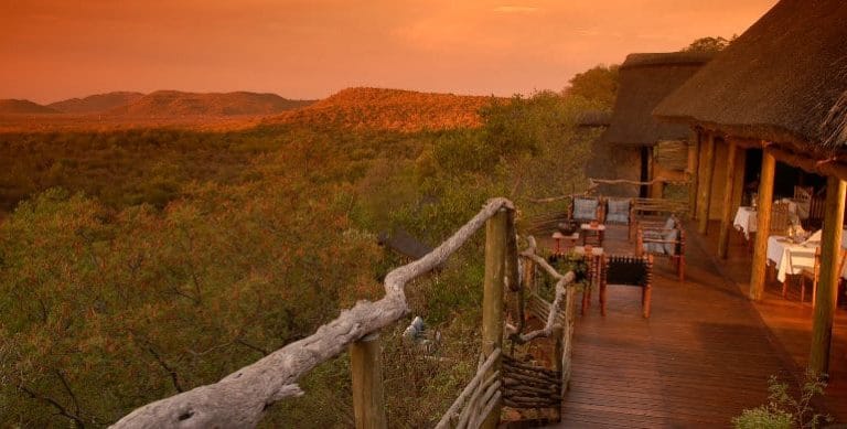 Madikwe South Africa
