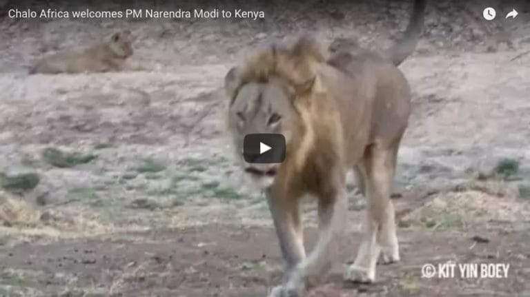 chalo kenya