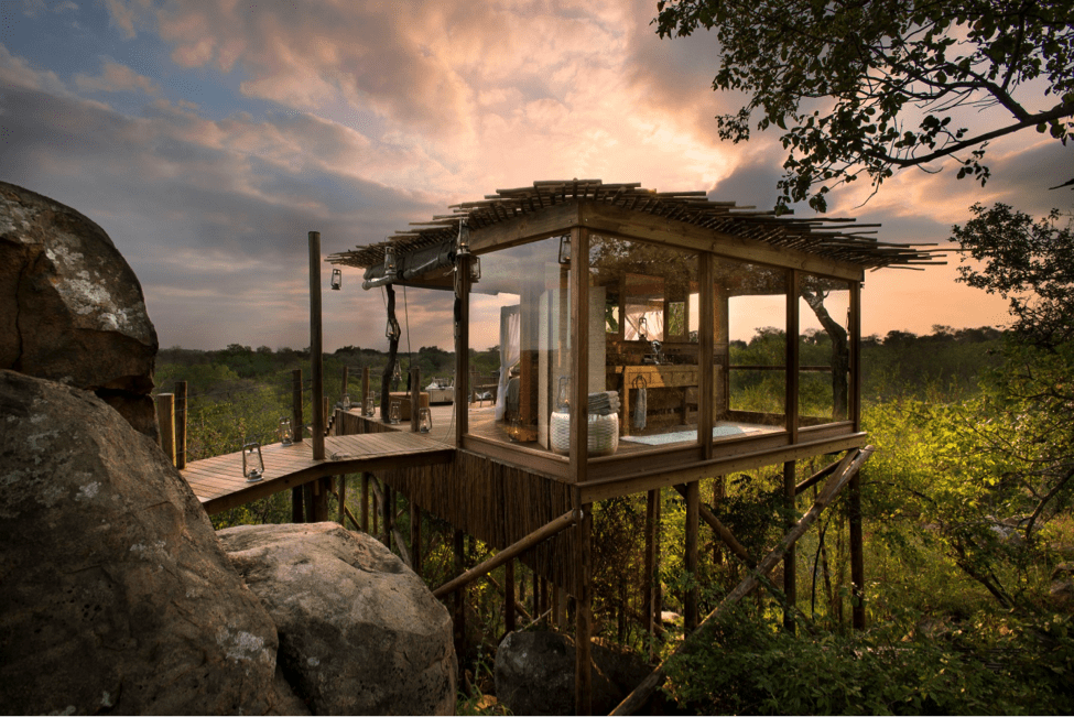 Kingston Treehouse Lion Sands