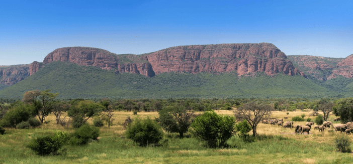 Marataba South Africa