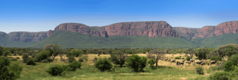 Marataba South Africa