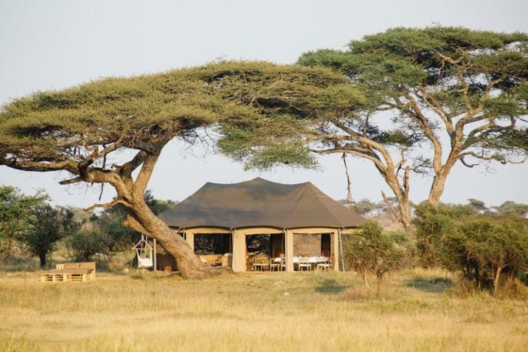 namiri plains asilia