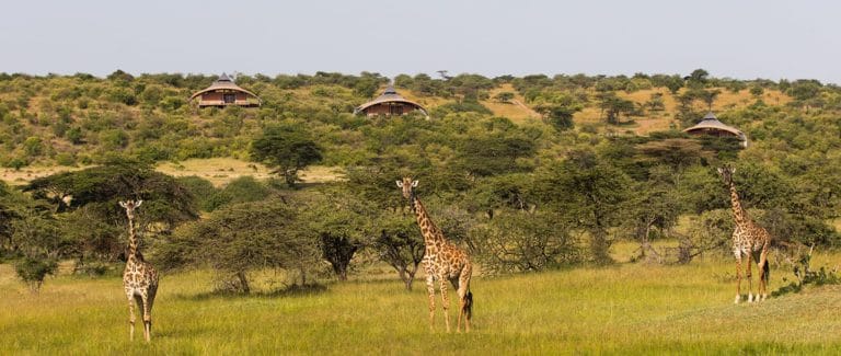 mahali mzuri masai mara kenya