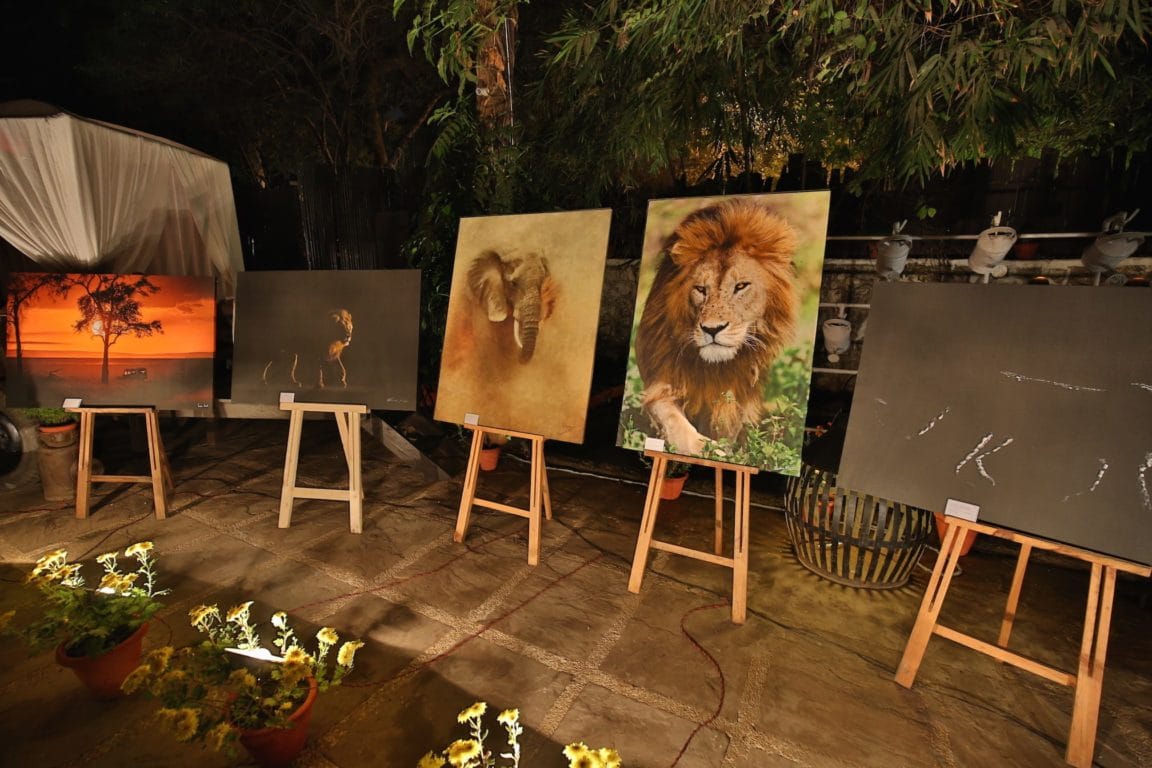 The canvasses that were auctioned