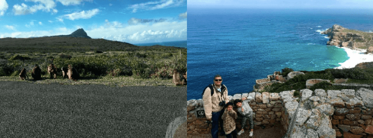 Cape of Good Hope