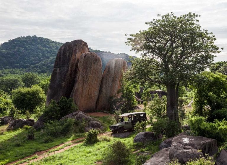 Jabali Ridge Ruaha