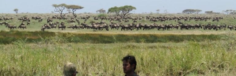Migration Namiri Plains Asilia