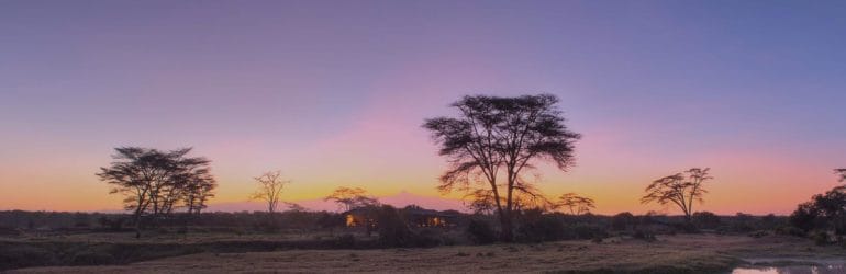 Ol Pejeta Bush Camp