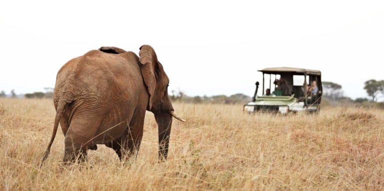 Olivers Camp Tarangire