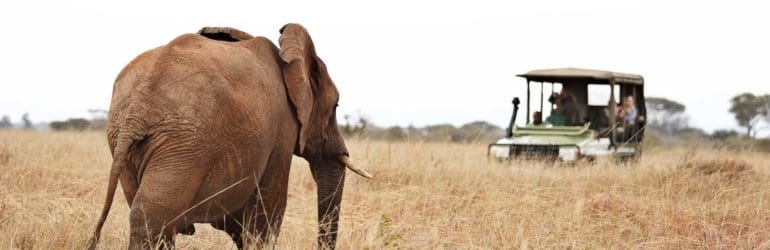 Olivers Camp Tarangire