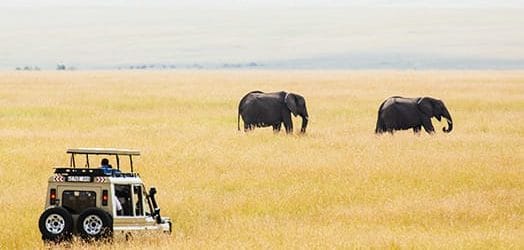 Serengeti Asilia Africa