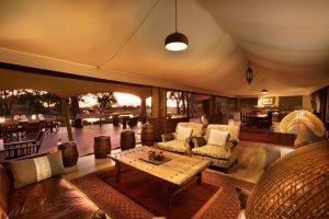 Duba Explorers Camp Lounge