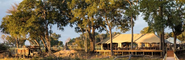 Duba Explorers Camp Tent View